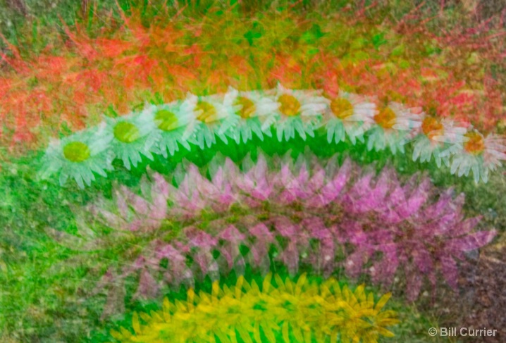 Rainbow Bouquet