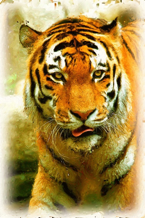 Another Tiger "Painting"