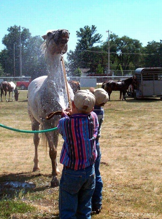 A Horse Shower