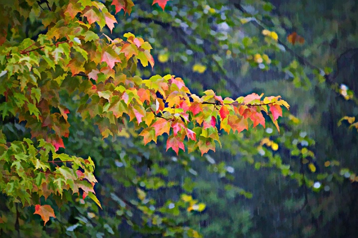 October Rain