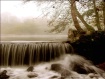 Mist
