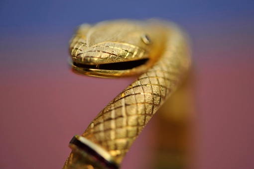 Golden Snake      36"X55"        Canvas Pr