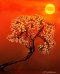 Golden Bonsai