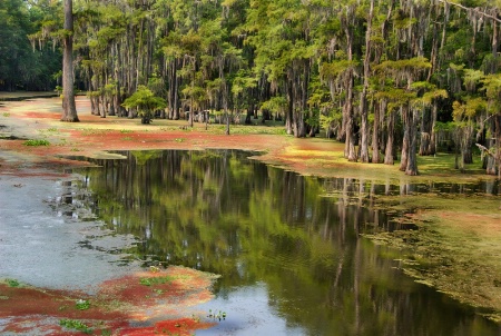 Another Beautiful Warm Summer Day On Bayou Desiard