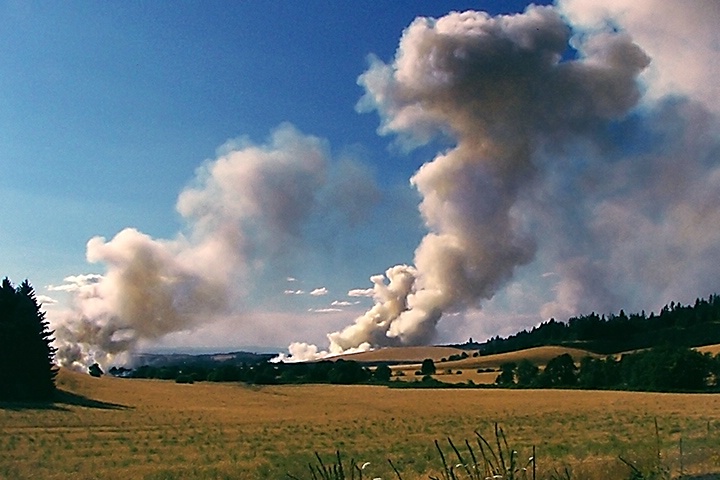 Oregon Field Burning - ID: 6666607 © Denny E. Barnes