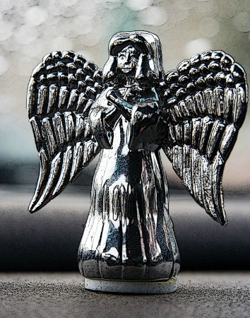 Dashboard Parking Angel