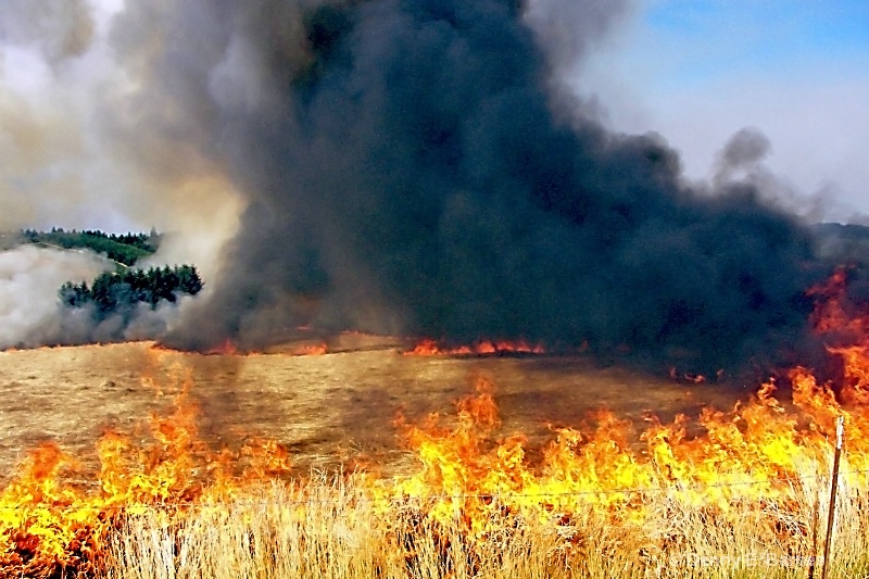 Field Burn, Oregon - ID: 6673279 © Denny E. Barnes