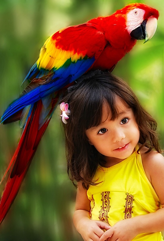 "My Colorful Friend"