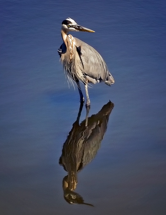 Reflection