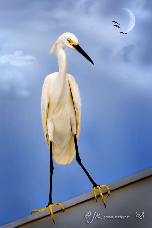 Evening Lookout