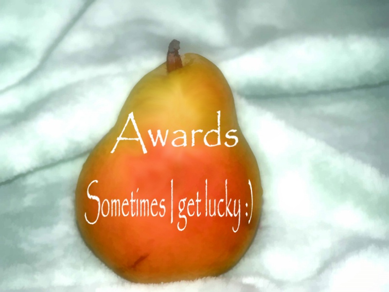 awards/honors