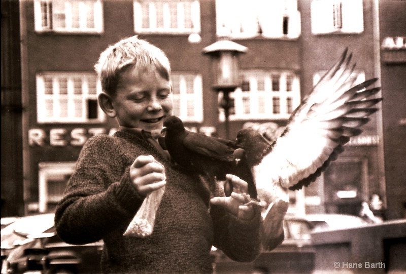 Happy boy with pigeons
