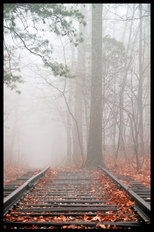 The Tracks to Nowhere.