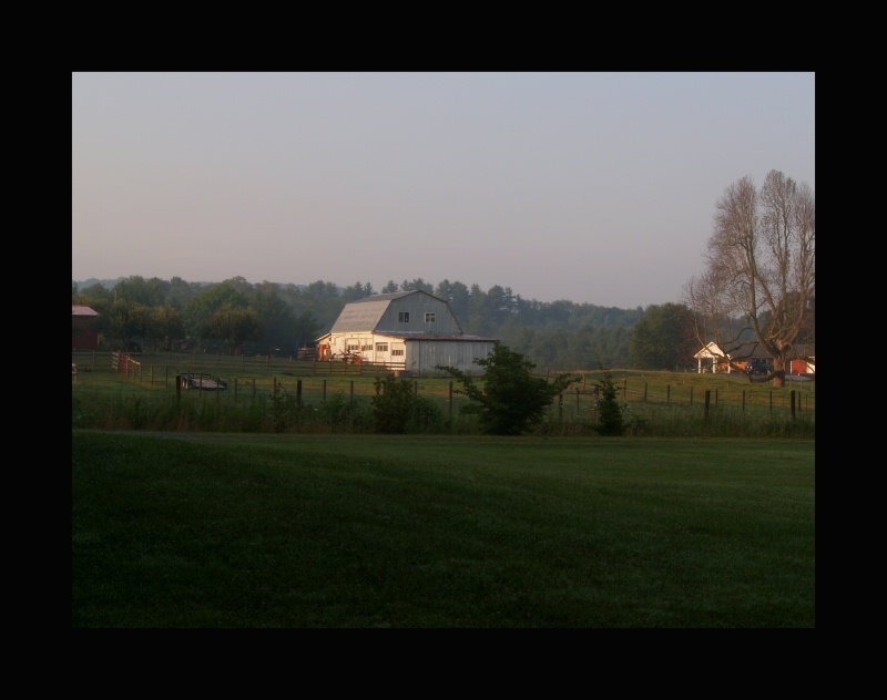 Virginia Farm