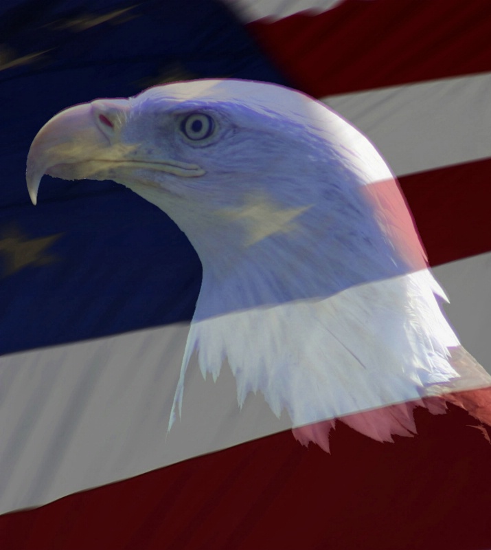 Proud to Be an American - ID: 6703550 © Karen Anderson