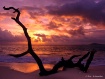 Sunrise Helping H...