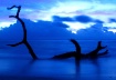 Driftwood Blues