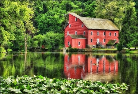 Red Mill Summer Afternoon