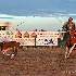 © Emile Abbott PhotoID # 6713376: Calf Roping Del Rio Style