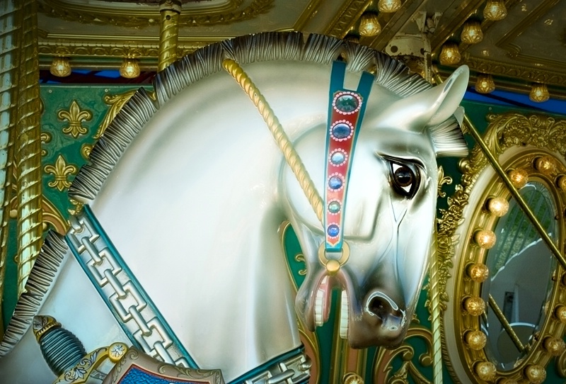 Carousel Horse