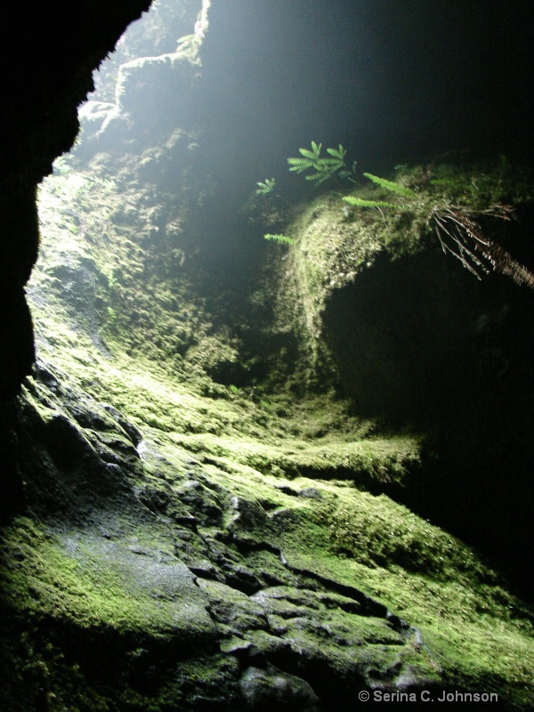cave_opening3