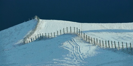 Snow covered hill with fence row Alberta Canada