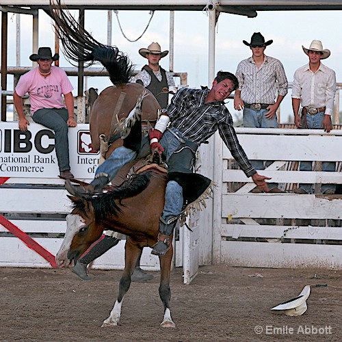 Out the gate on a bucking bronco - ID: 6723948 © Emile Abbott