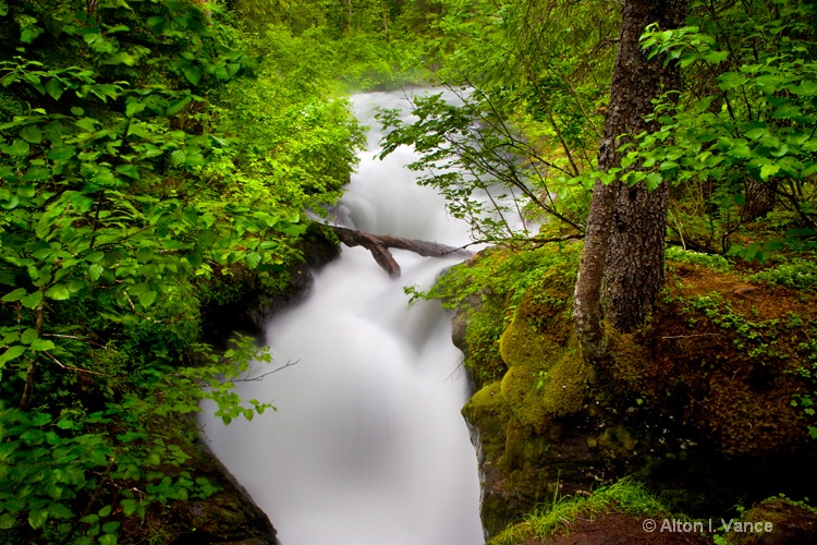 Gorge in the Chugach National Forest Alaska