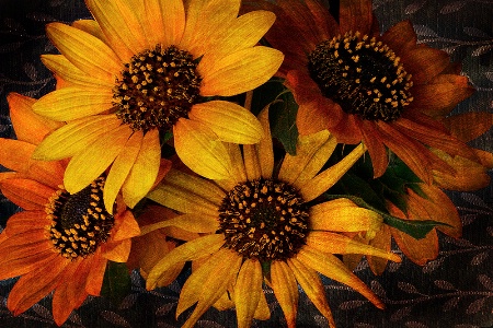 My Sunflowers #2