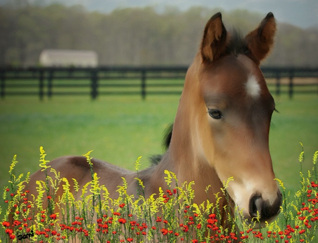 Taking time to smell the flowers