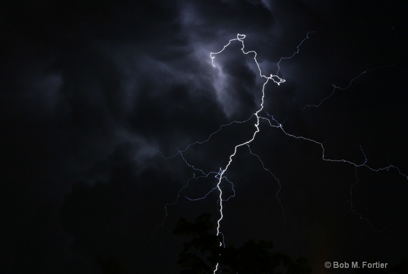Lightning over Everglades