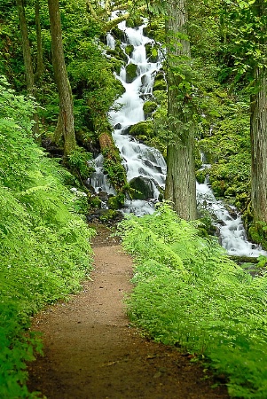 Multnomah Falls Loop