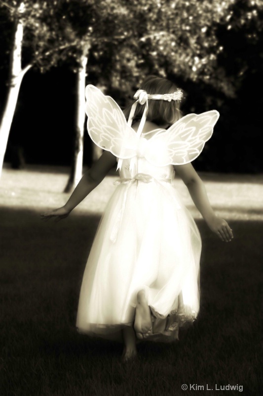 Runaway Fairy - ID: 6734383 © Kim L. Ludwig