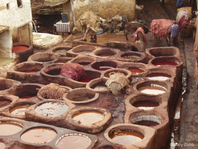 tannery in fes