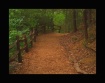 Path to Pearson&#...