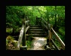 Path to Pearson&#...