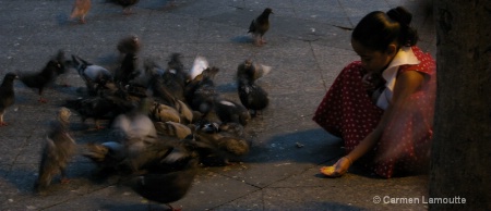 Feeding the pigeons- Less blurred