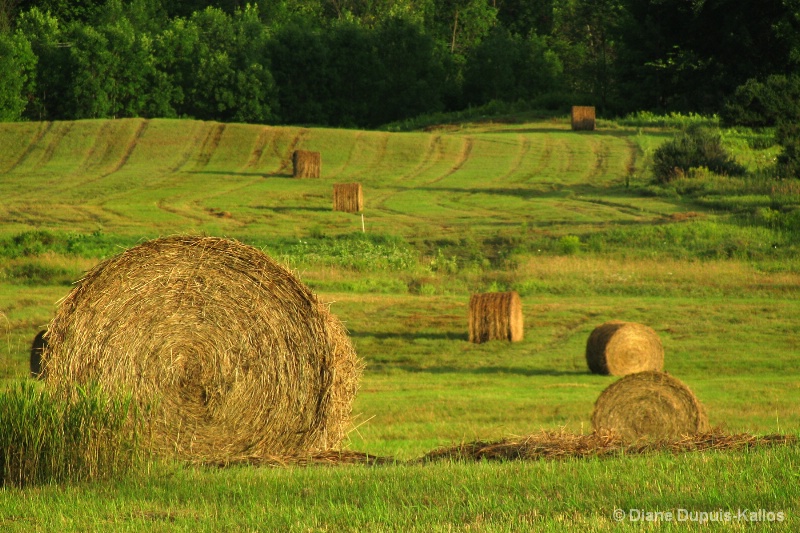big hay