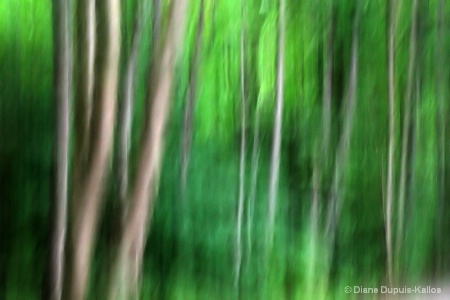 Trees in movement