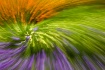 Inside Monet'...