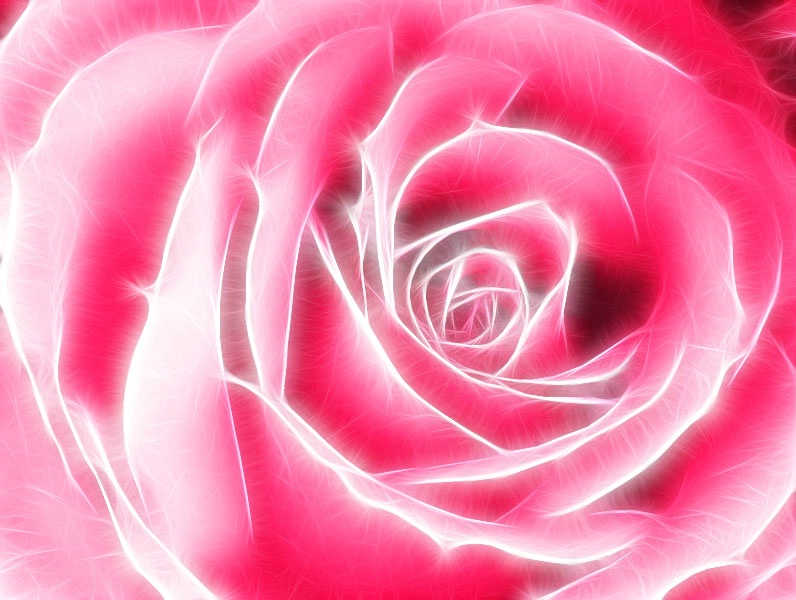 Rose (Fractalius)