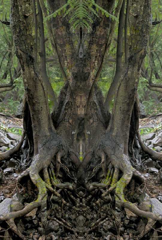 The Natural Symmetry