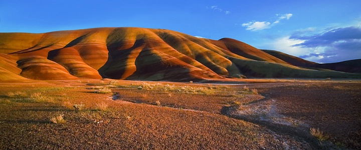 painted hills -late pm