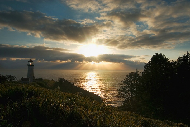 cape disappointment