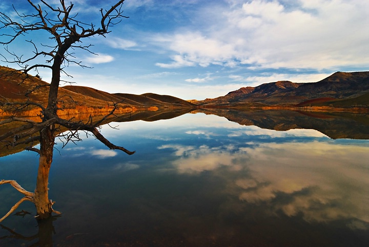 desert reflections