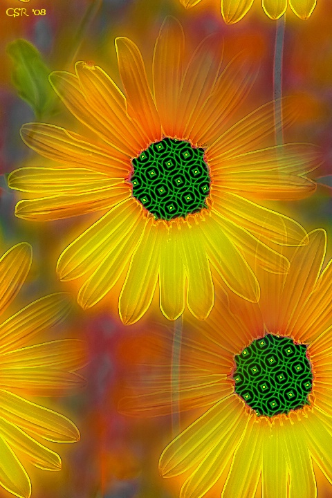 Glowing Sunflowers
