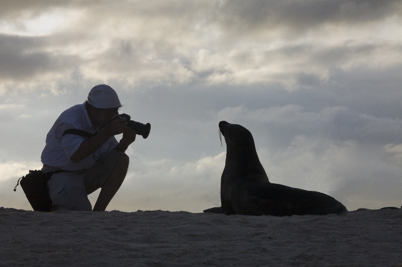 Galapagos: Nose To Nose