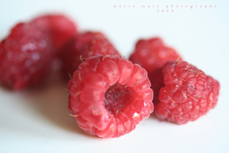 Red Red Raspberries