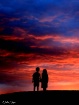 Sweet Memory