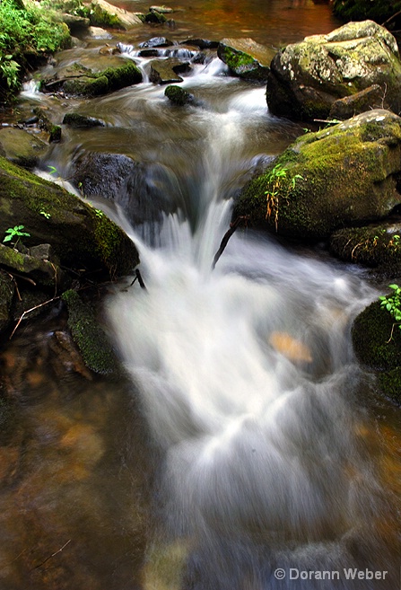 Peaceful Bushkill Falls